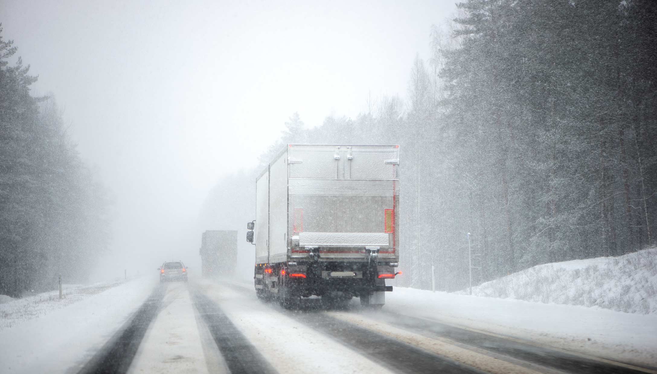 Foto de un camión pesado blanco cubierto en nieve conduciendo por una carretera en un bosque.