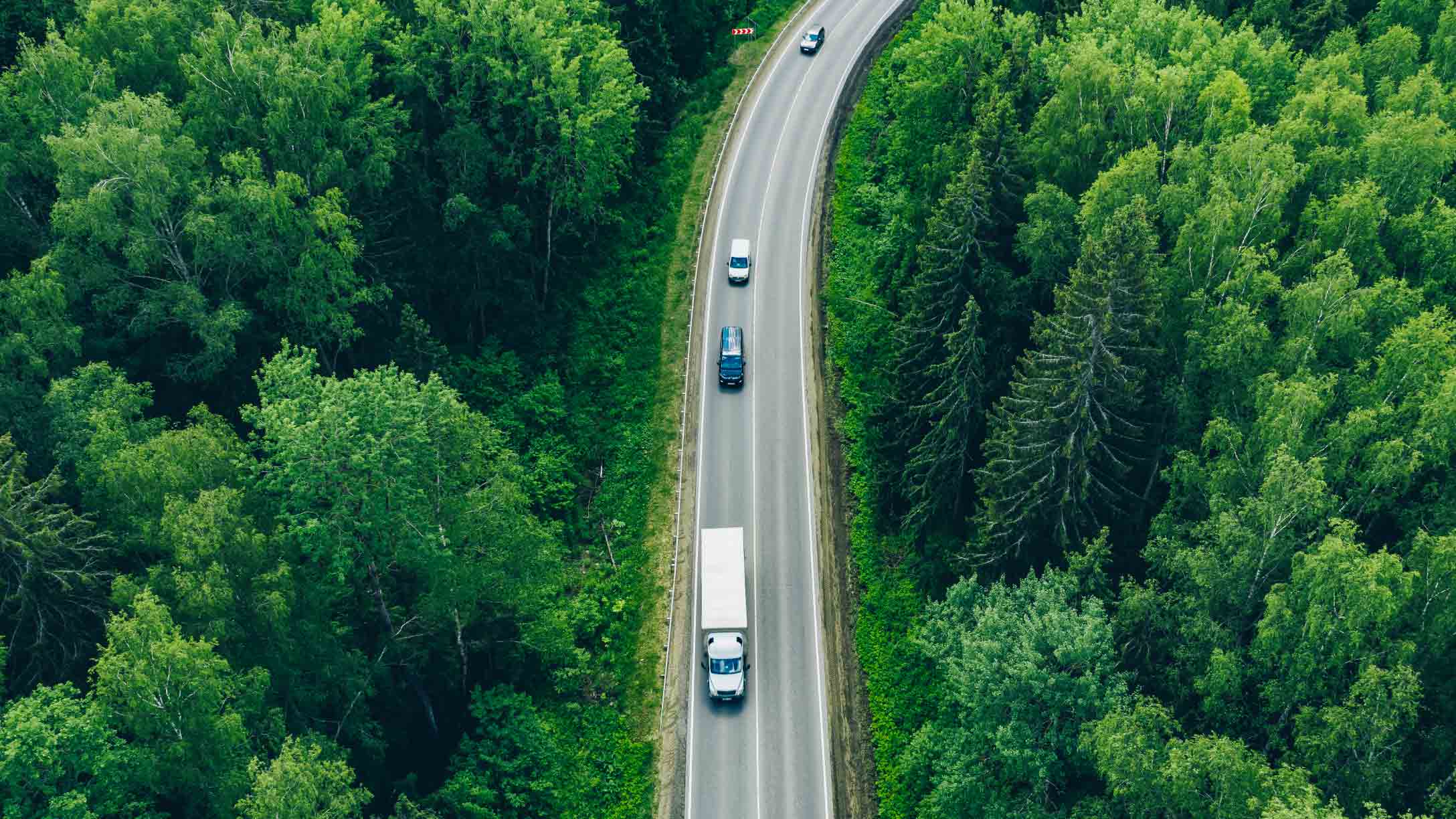 Aerial view of different vehicles driving along a road passing through a forest area
