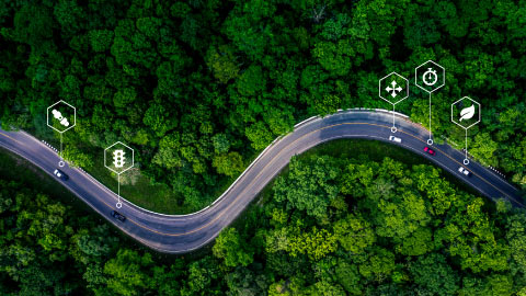 Foto de una carretera en un bosque con vehículos y símbolos de datos.