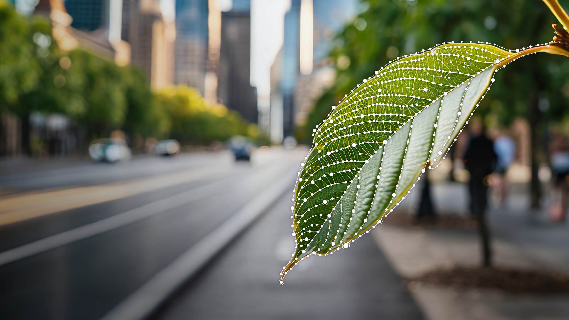 a tree leaf with blue dots with background of a city,