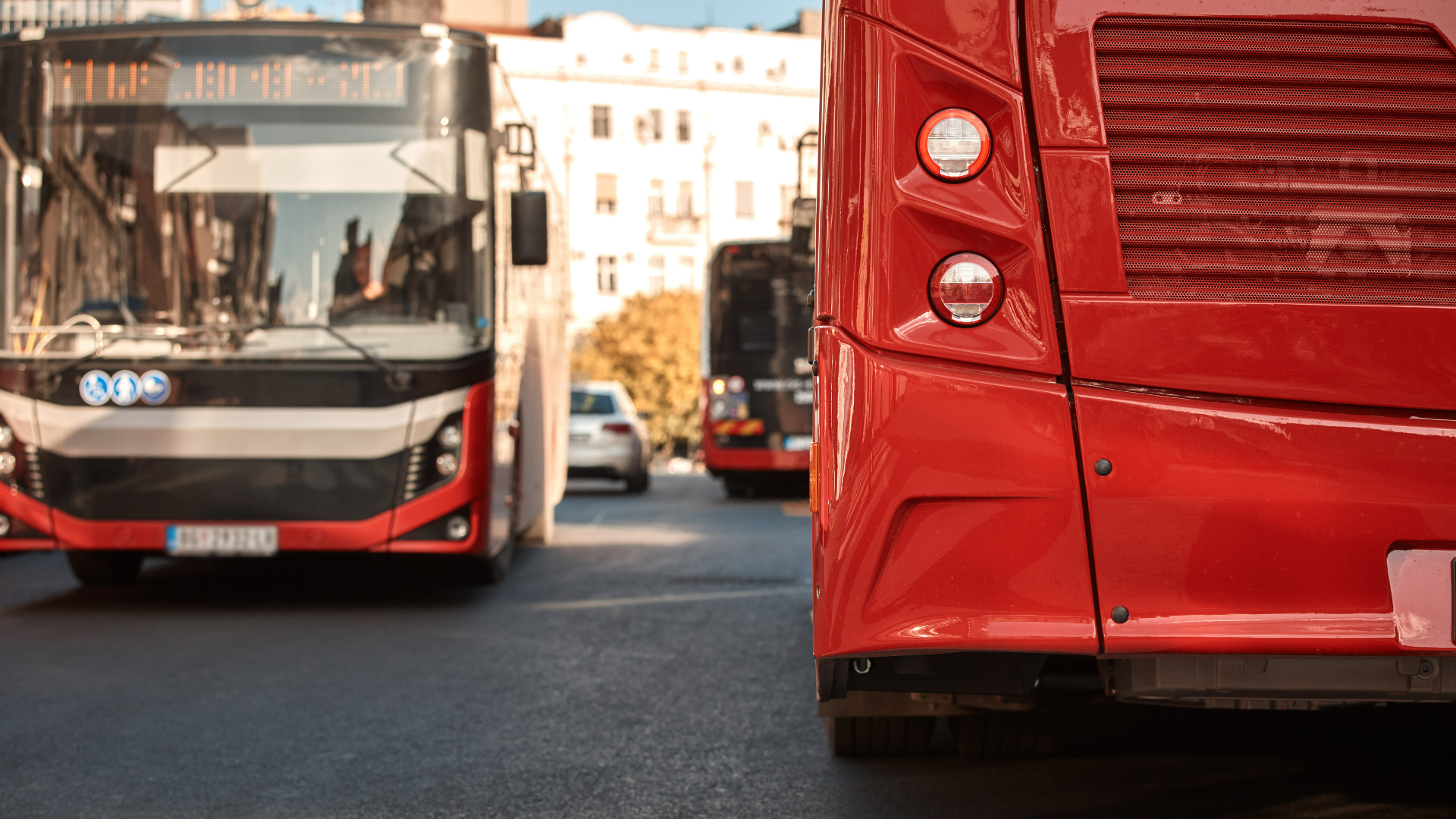 Two public transit buses stopped close to each other in city traffic
