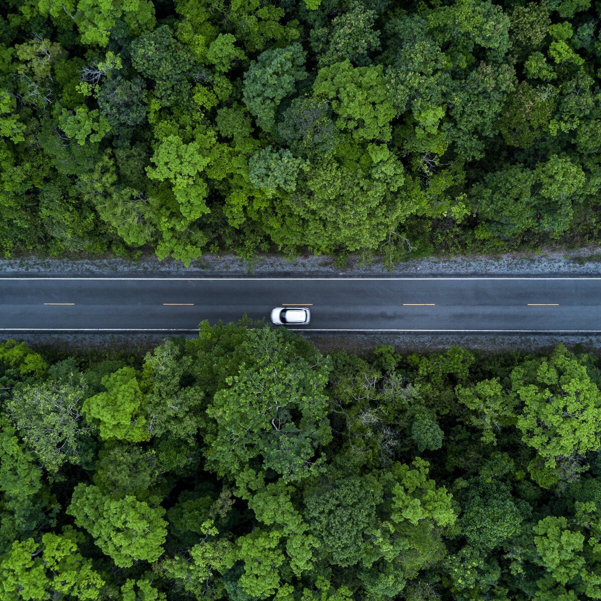 Vue aérienne d'une route traversant une forêt dense, avec une seule voiture blanche.