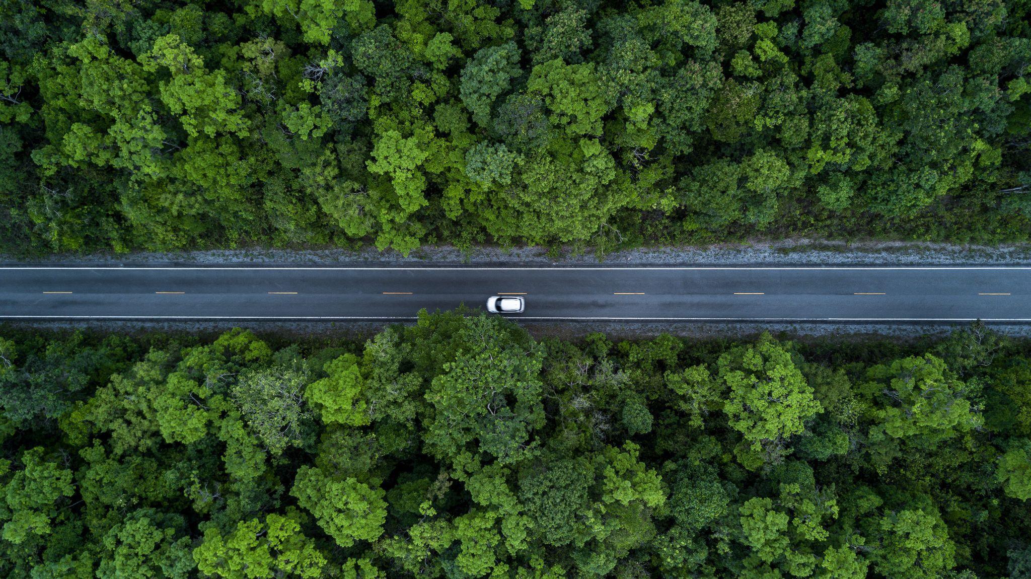 Vue aérienne d'un véhicule circulant sur une route traversant une forêt, illustrant l'électrification des flottes face aux exigences des ZFE