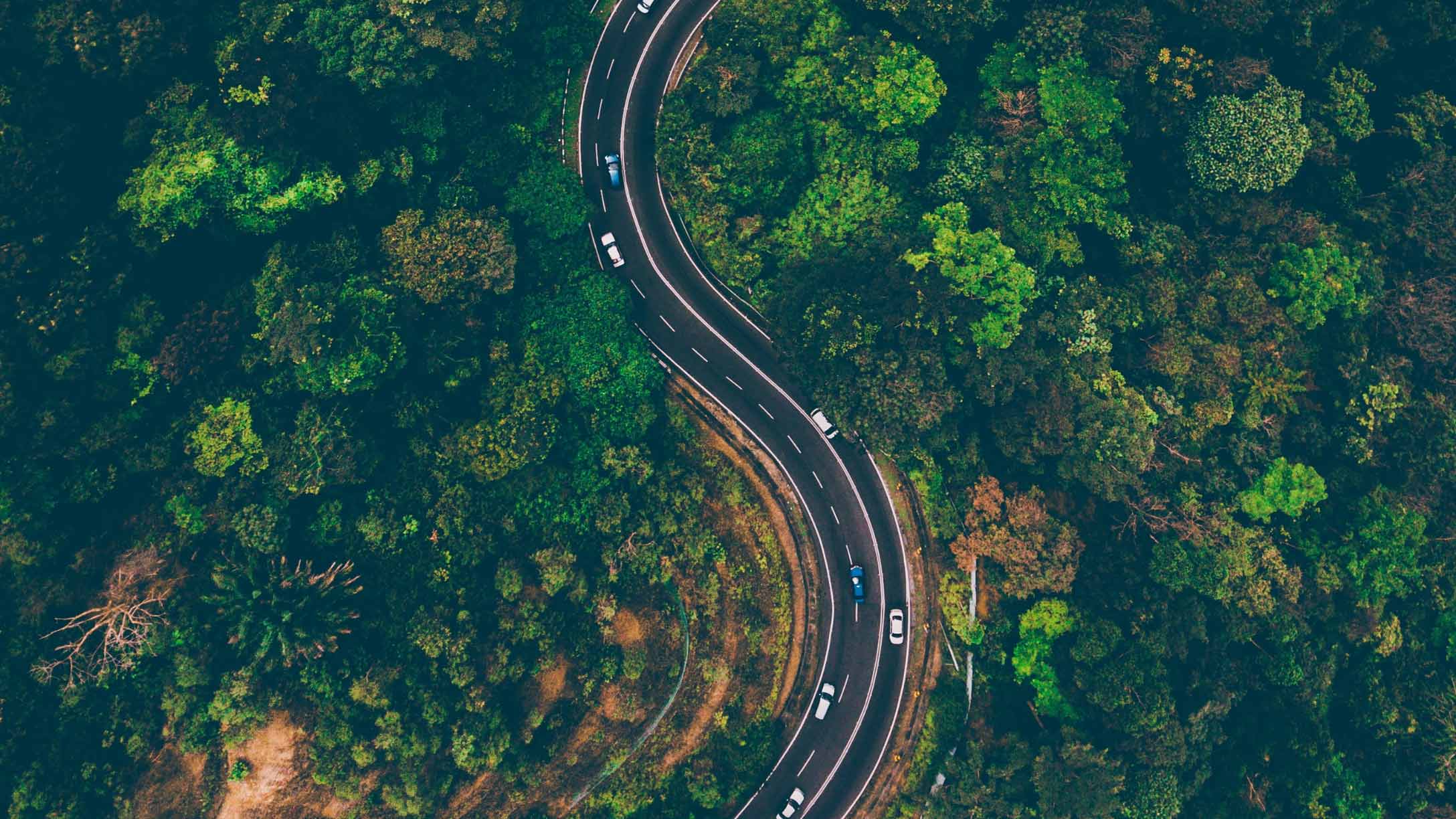 route dans la forêt