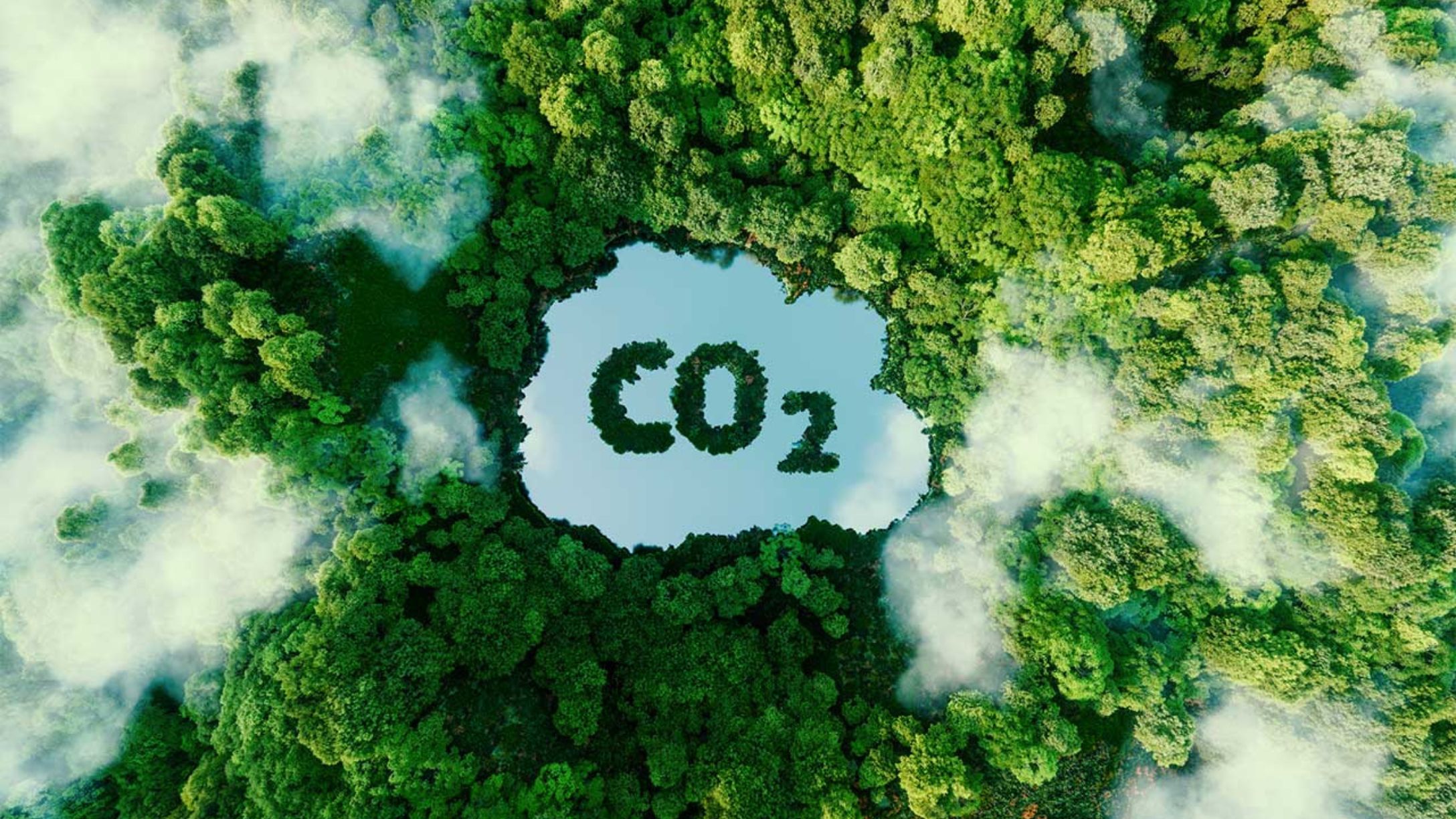 nuage de CO2 devant une forêt