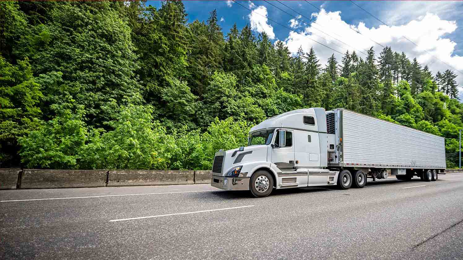 white truck on the road image