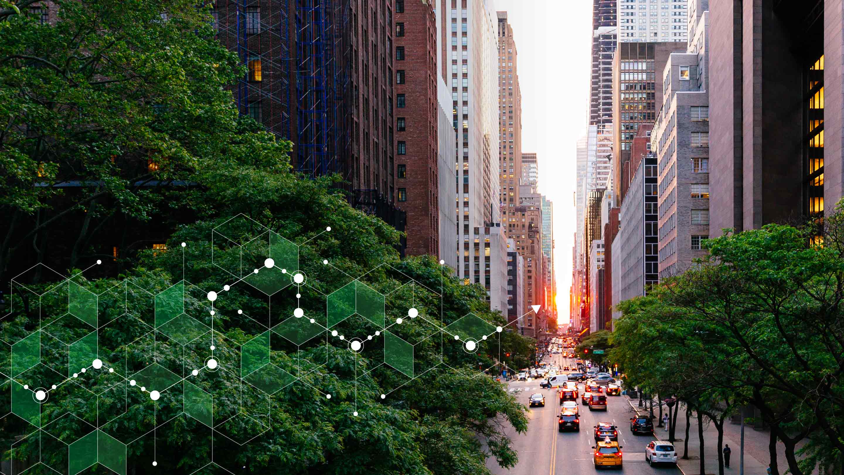 corporate sustainability image