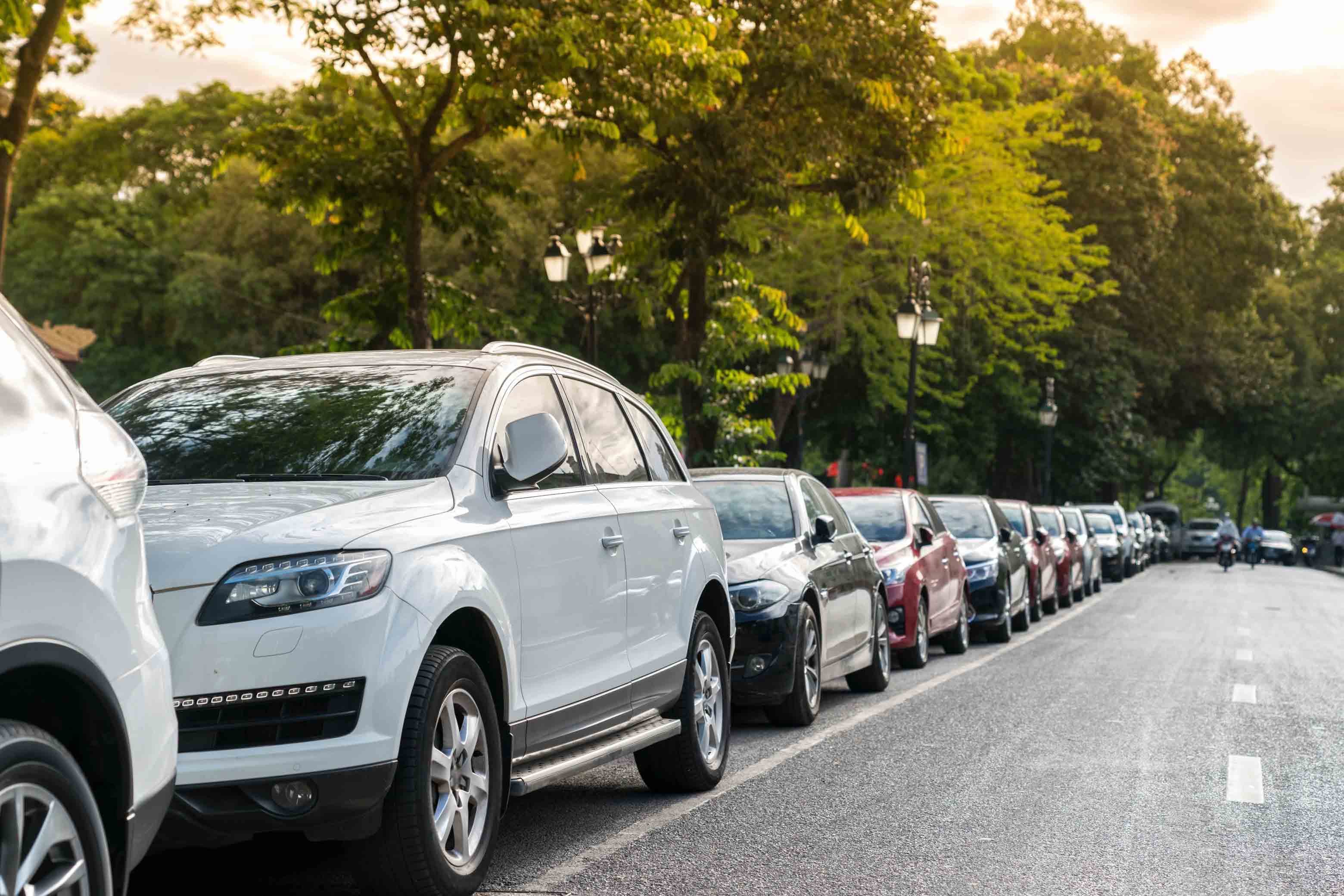 Una fila di macchine parcheggiate lungo una strada alberata in città