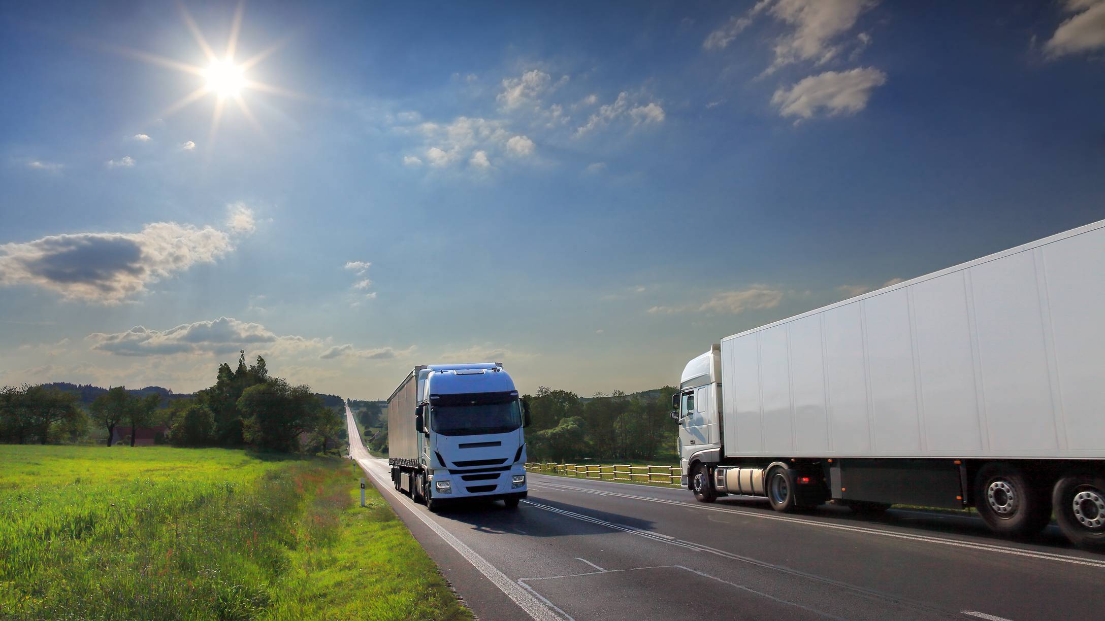 due camion europei su strada immersa nel verde
