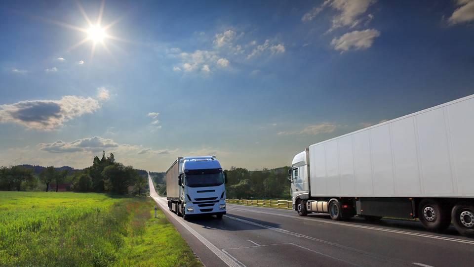 due camion europei su strada immersa nel verde