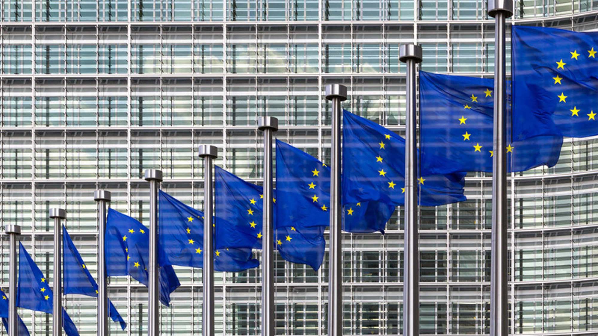 EU blue flags in front of the Parliament building