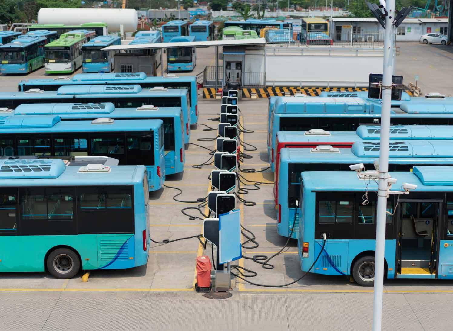 blue buses being charged