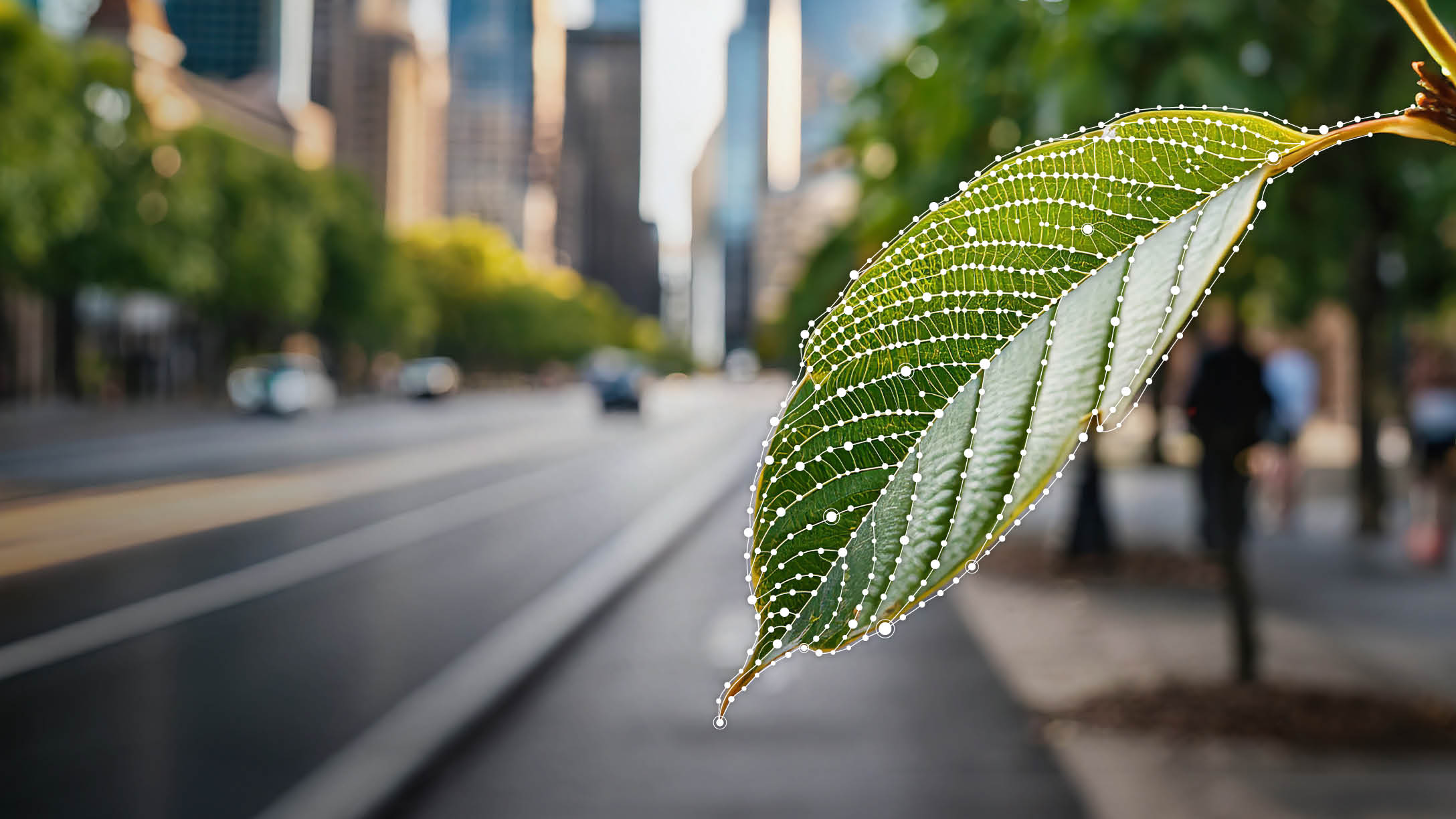 Photo of a leaf in the foreground, with a paved road in the background