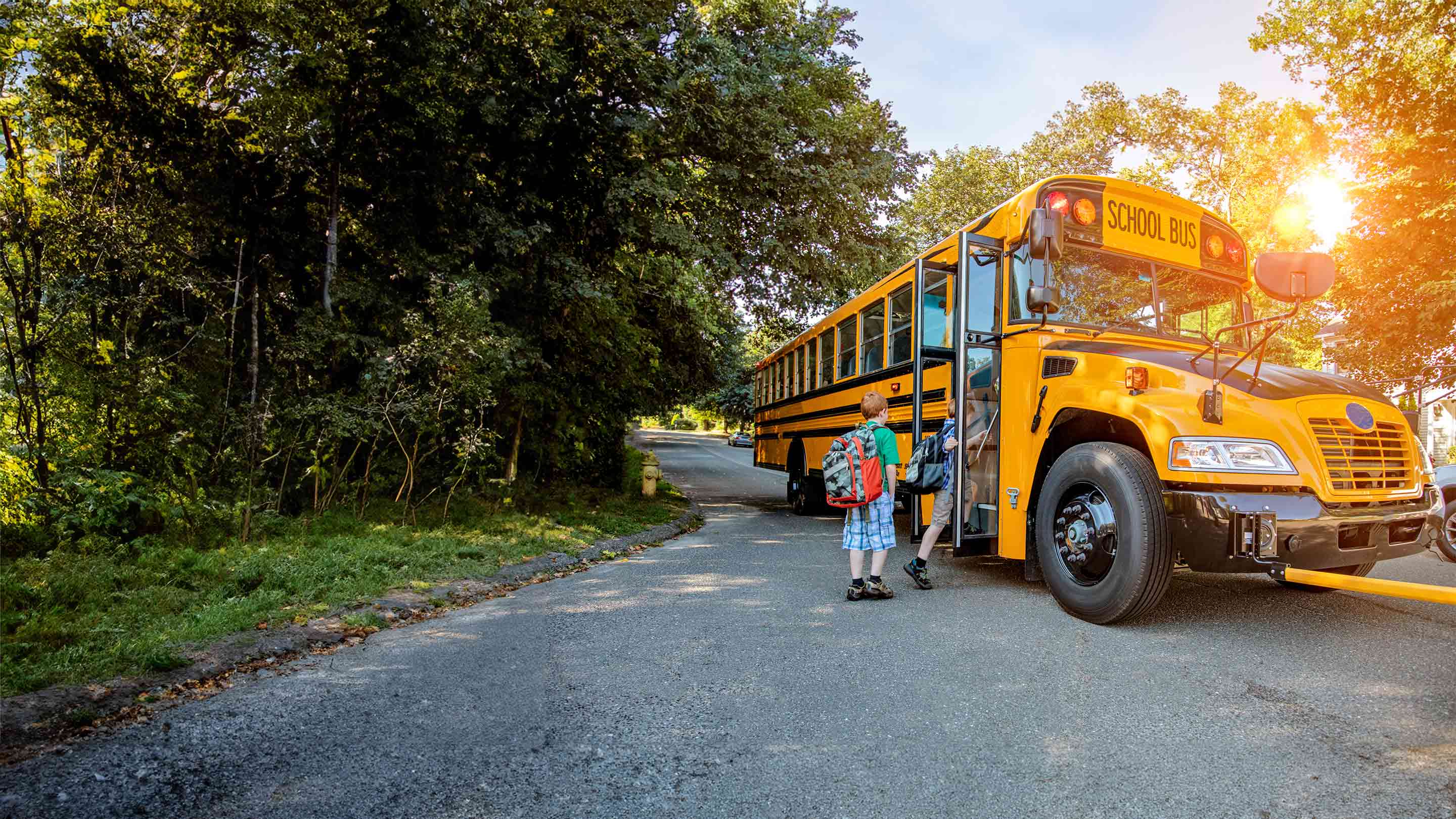 yellow school bus picking up children
