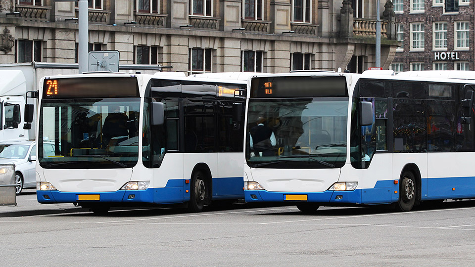 twee nederlandse wit blauwe bussen die geparkeerd staan
