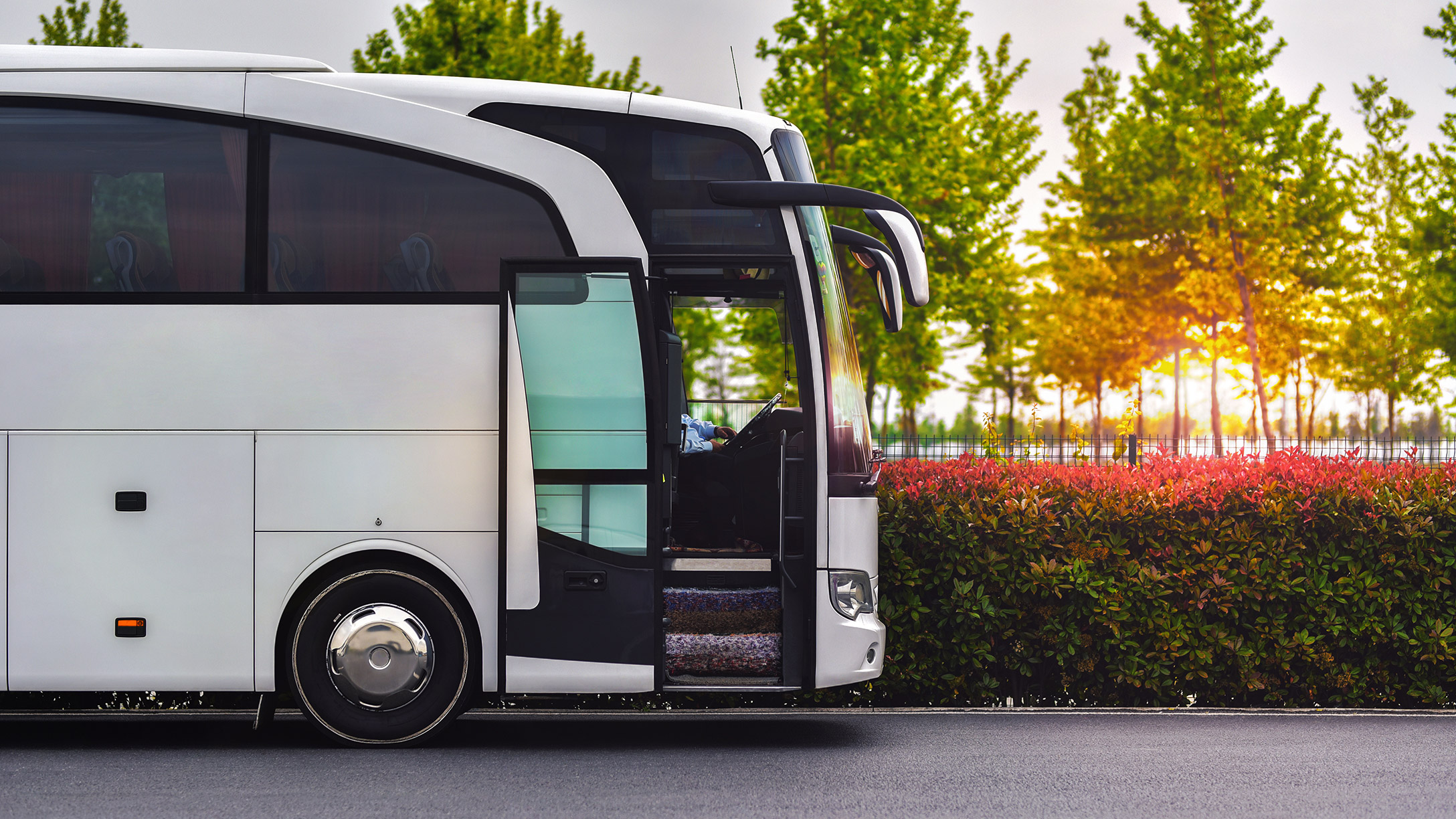 geparkeerde witte touringcar of autobus met de zon door de bomen