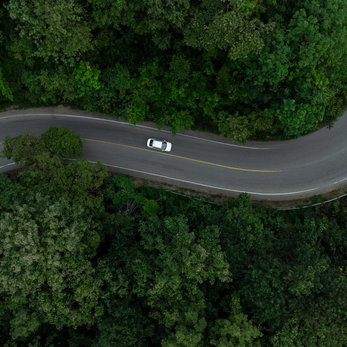 Eco-driving: condução ecológica para frotas mais sustentáveis e econômicas