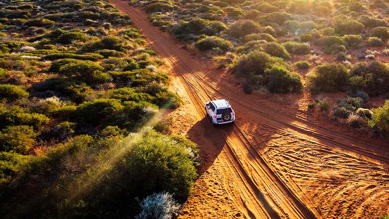 Car driving on dirt road surrounded by trees