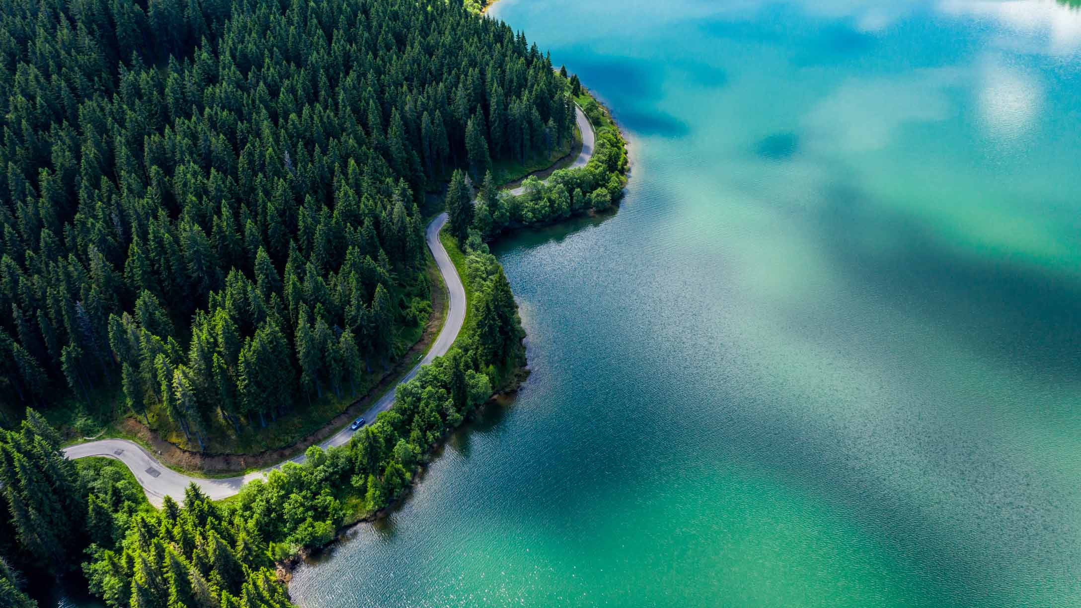 Birdseye view of a vehicle driving alongside forested terrain and a lake