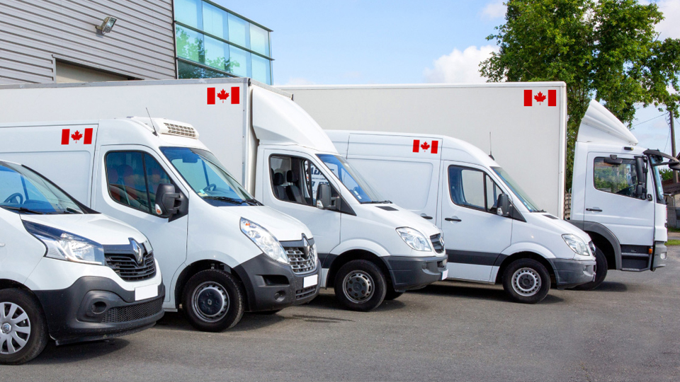 Line up of white colored commercial fleets with a Canadian flag decal on the vehicles.