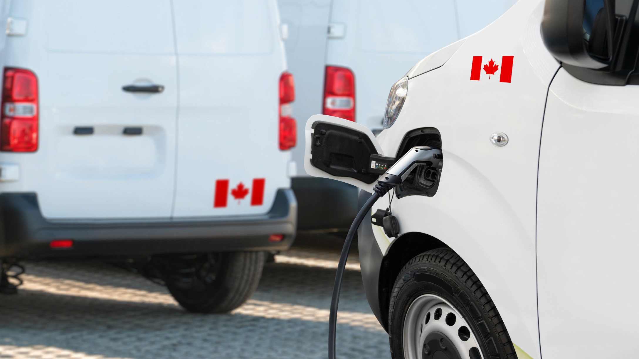 Line up of white colored commercial fleets with a Canadian flag decal on the vehicles.