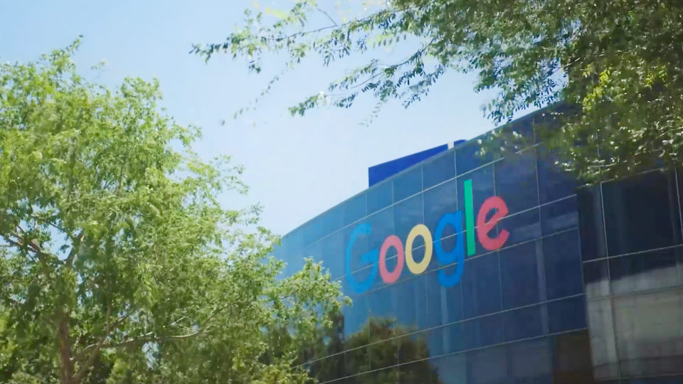 Google office behind trees