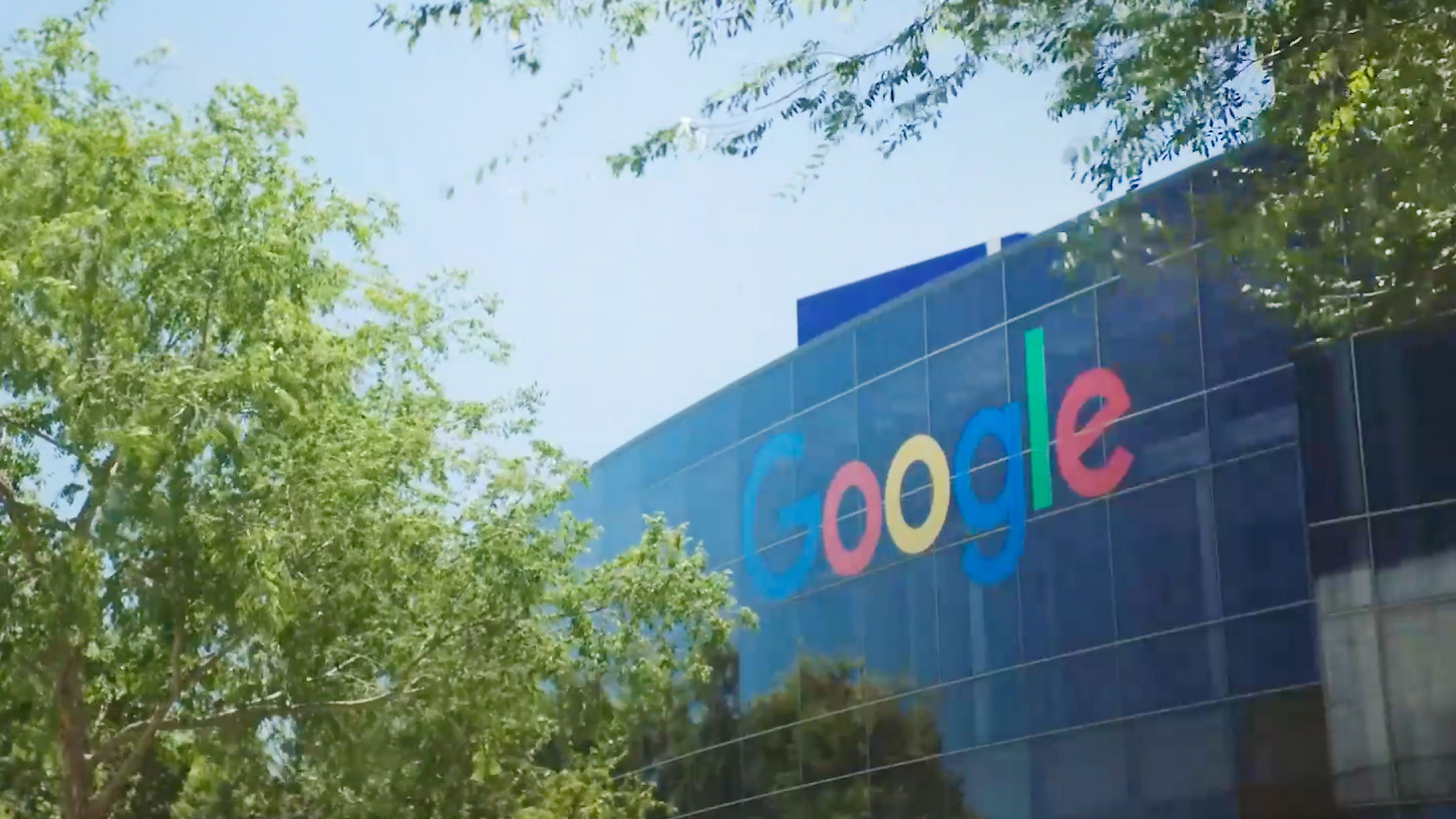 Google office behind trees