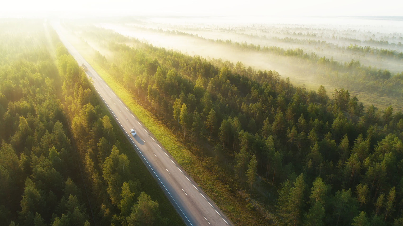 Car driving through road surrounded by forest