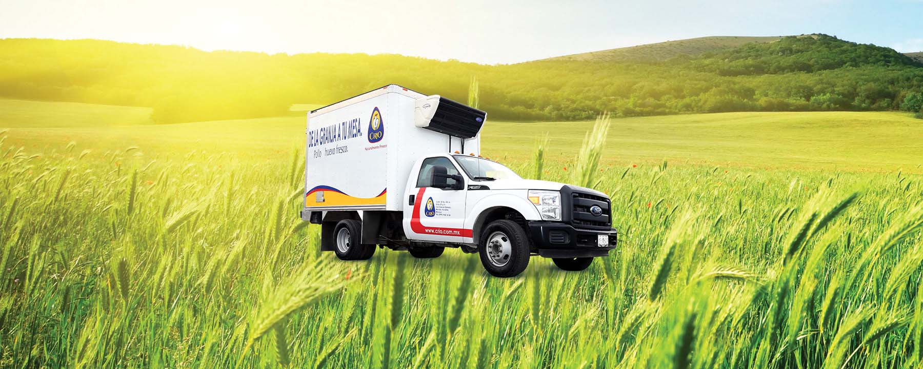 Grupo Crio-branded truck superimposed over rolling hills of green grass