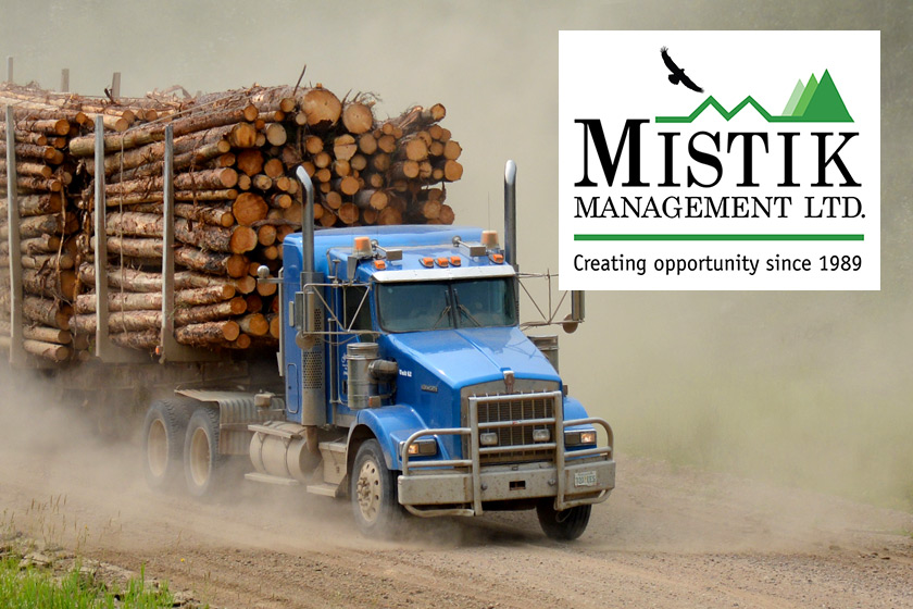 Blue truck hauling lumber along a forest road