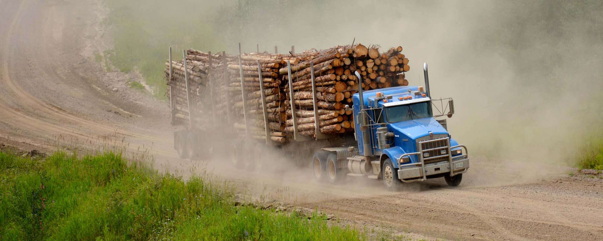 Blue truck hauling lumber along a forest road