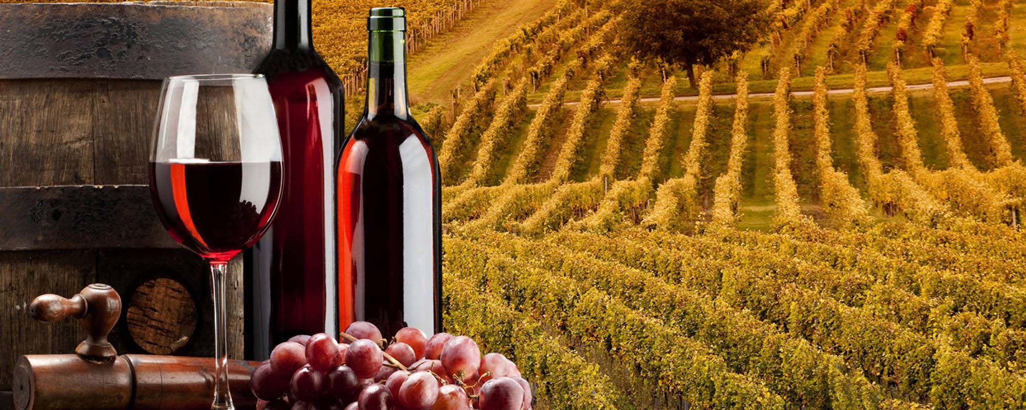 Foto de un campo de vino con dos botellas y un vaso de vino.