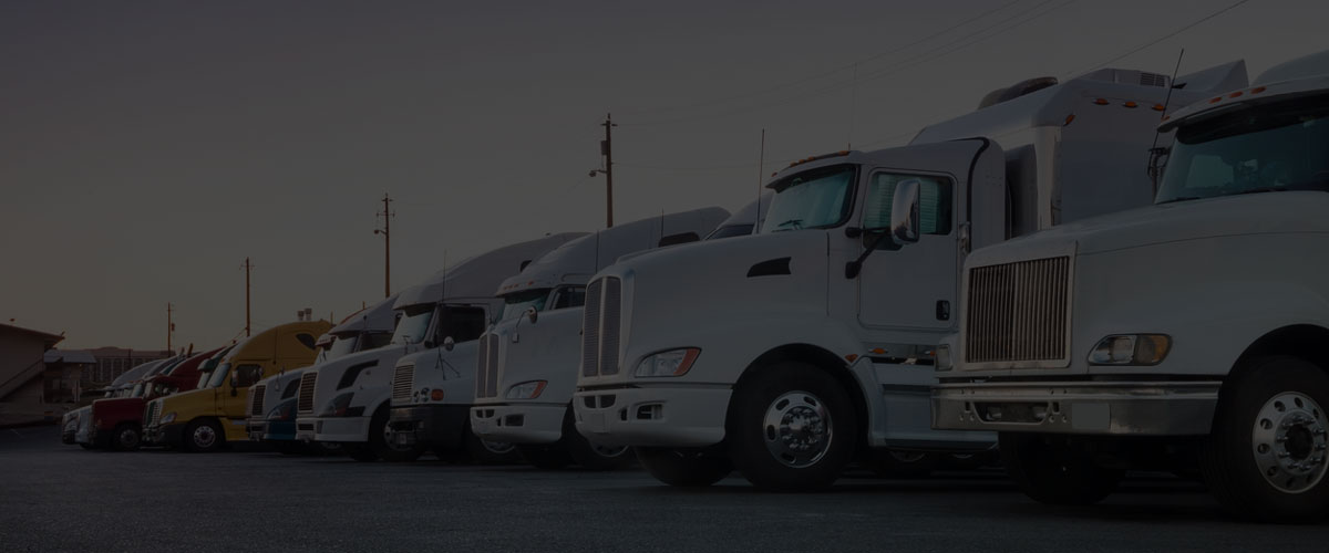 Multiple white trucks parked beside each other