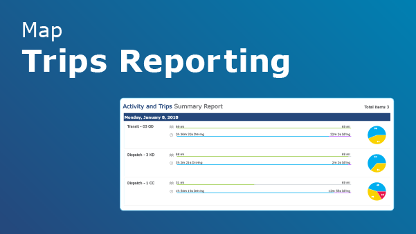 Trips Reporting interface