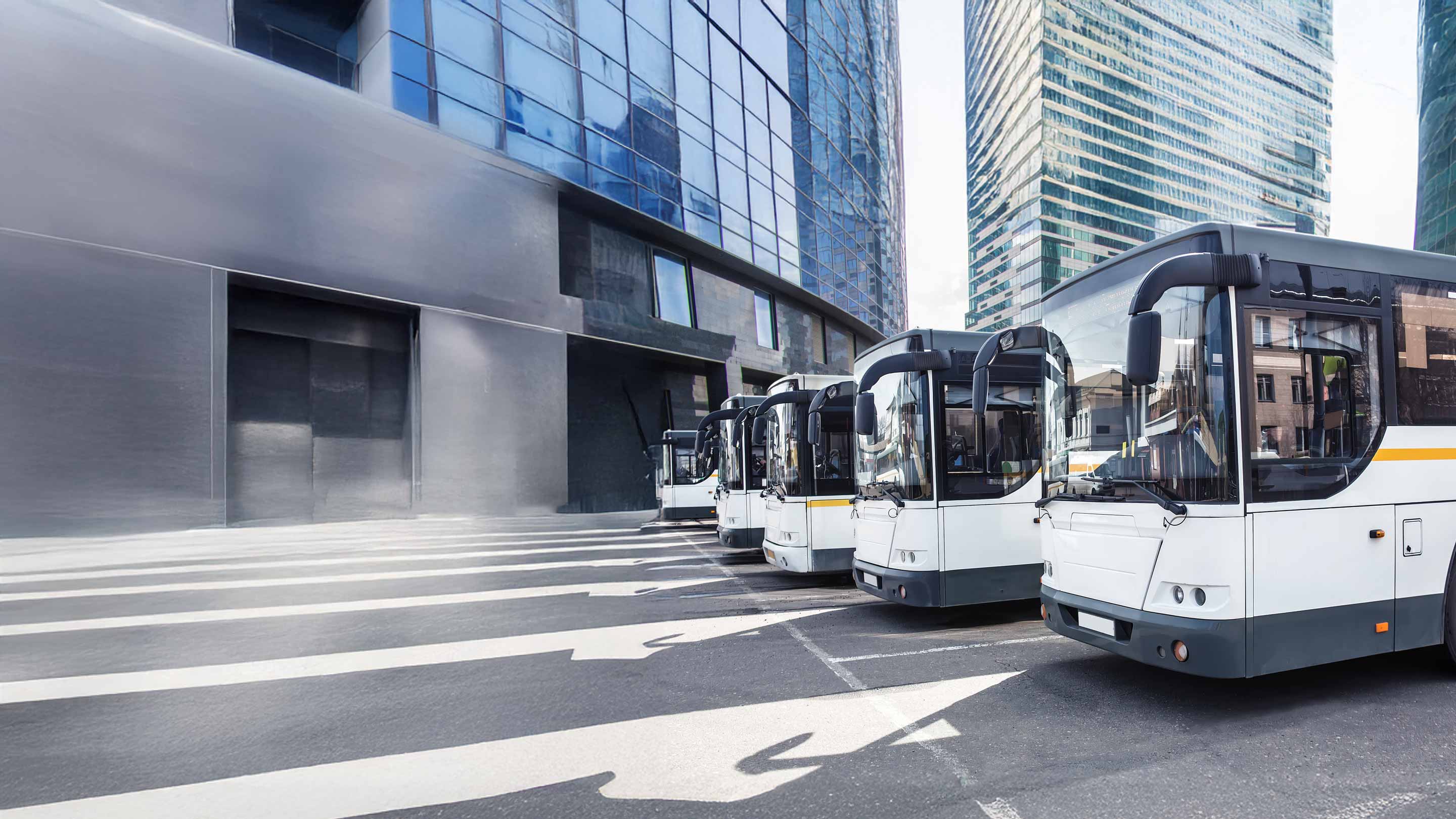 row of busses parked