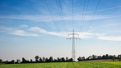 field with overhead power lines