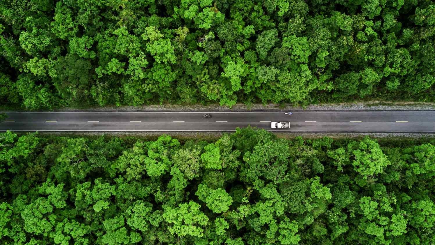 Green fleet vehicle driving through a forest