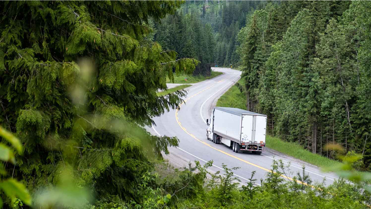 truck driving on a road surrounded by trees